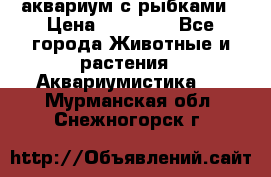 аквариум с рыбками › Цена ­ 15 000 - Все города Животные и растения » Аквариумистика   . Мурманская обл.,Снежногорск г.